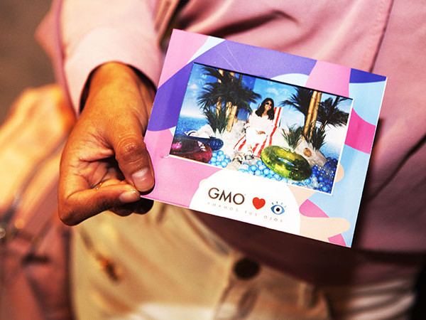 GMO – Colección de Miradas
